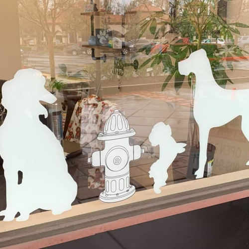 Window Graphics